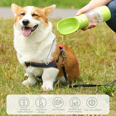 Multifunctional and Portable Dogs and Cats Water Dispenser with Food Container.
