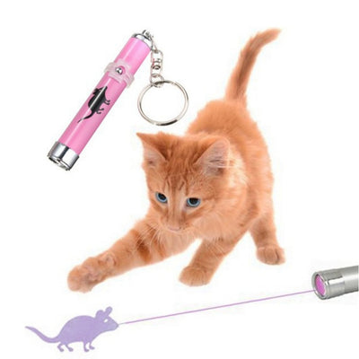 Creative and Funny Laser Pointer Pen Toy For Pets