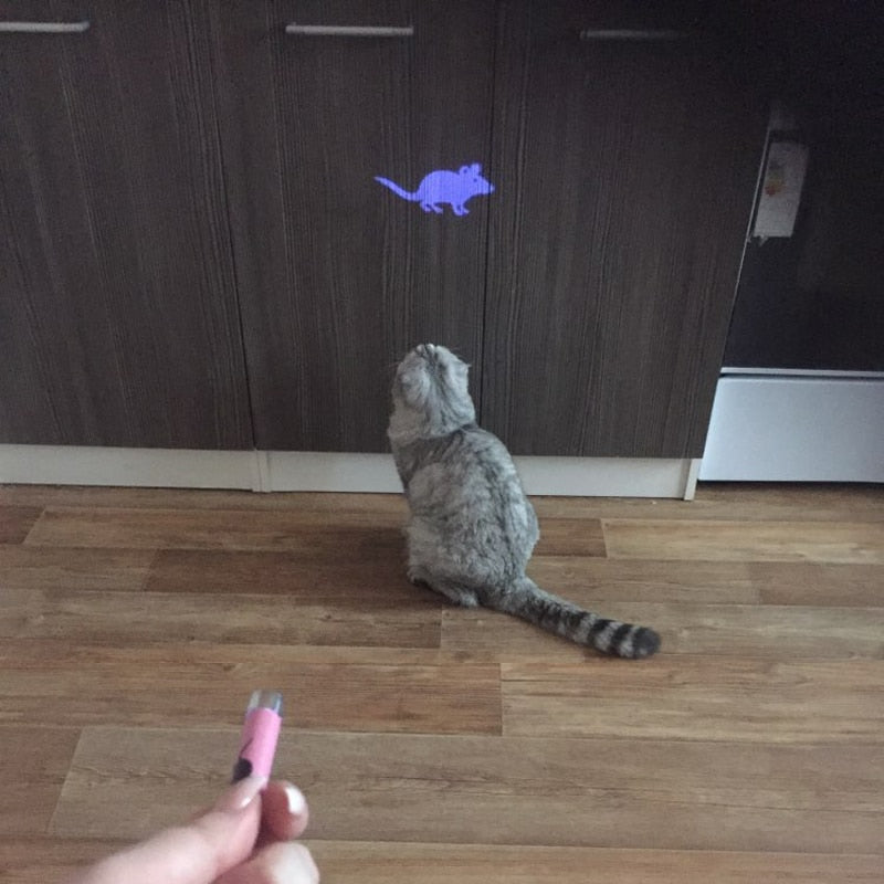 Creative and Funny Laser Pointer Pen Toy For Pets