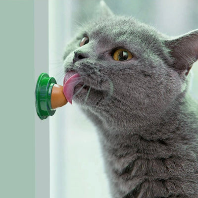 Catnip Wall Ball Healthy Cat Snacks