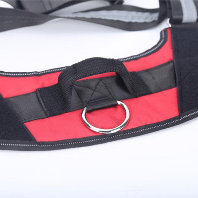 Personalized Reflective Dog Harness with No Pull