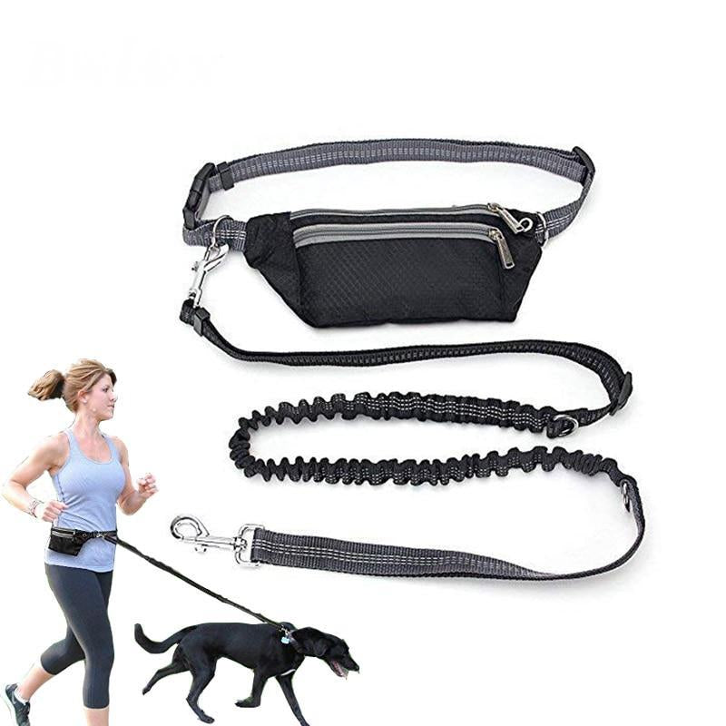 Multi-Function Dogs Leash Adjustable Running And Enjoy Your Pet