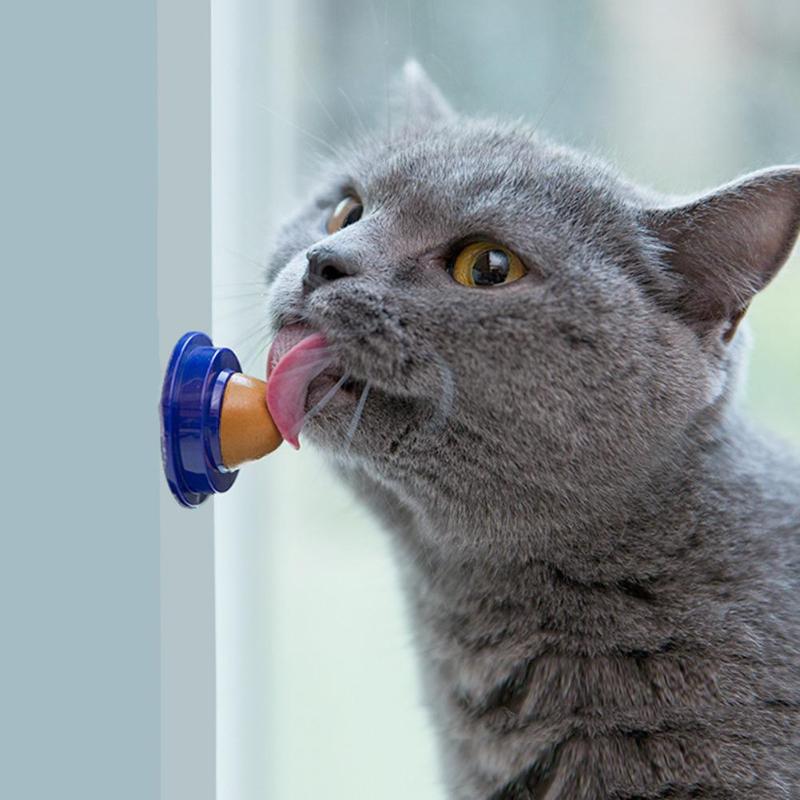 Catnip Wall Ball Healthy Cat Snacks